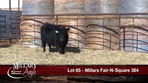 Lot #65 - MILLARS FAIR-N-SQUARE 384