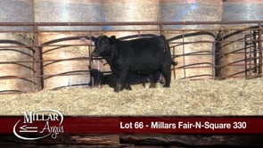 Lot #66 - MILLARS FAIR-N-SQUARE 330