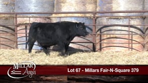 Lot #67 - *** OUT *** MILLARS FAIR-N-SQUARE 379