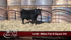 Lot #69 - MILLARS FAIR-N-SQUARE 318