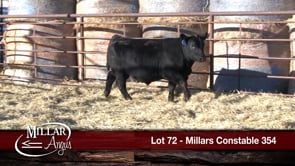 Lot #72 - MILLARS CONSTABLE 354