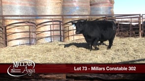 Lot #73 - MILLARS CONSTABLE 302