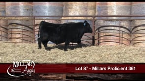Lot #87 - MILLARS PROFICIENT 361