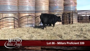 Lot #86 - MILLARS PROFICIENT 339