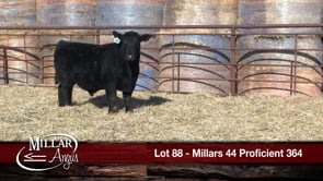 Lot #88 - MILLARS 44 PROFICIENT 364