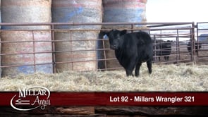 Lot #92 - *** OUT *** MILLARS WRANGLER 321