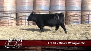 Lot #91 - MILLARS WRANGLER 353