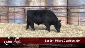 Lot #99 - MILLARS COALITION 350