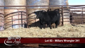 Lot #93 - MILLARS WRANGLER 341