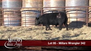 Lot #95 - MILLARS WRANGLER 342
