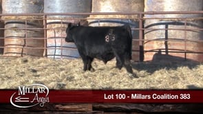 Lot #100 - *** OUT *** MILLARS COALITION 383