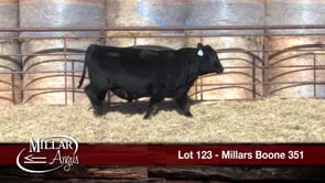 Lot #123 - *** OUT *** MILLARS BOONE 351