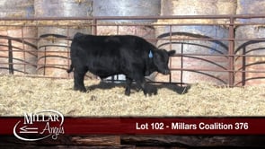 Lot #102 - MILLARS COALITION 376