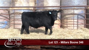 Lot #121 - MILLARS BOONE 346