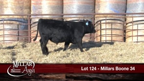 Lot #124 - MILLARS BOONE 34