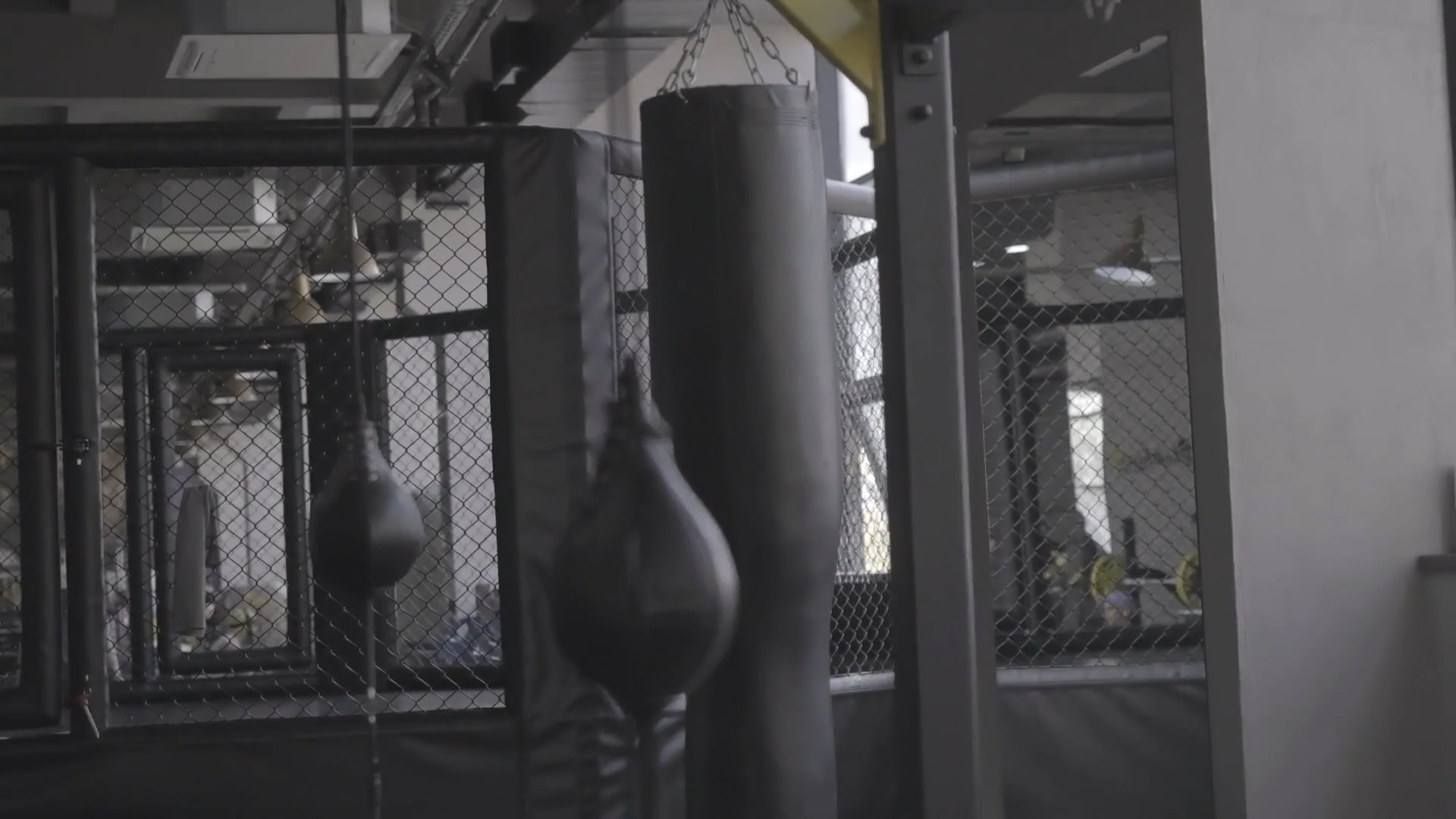 The Arena Brazilian jiujitsu