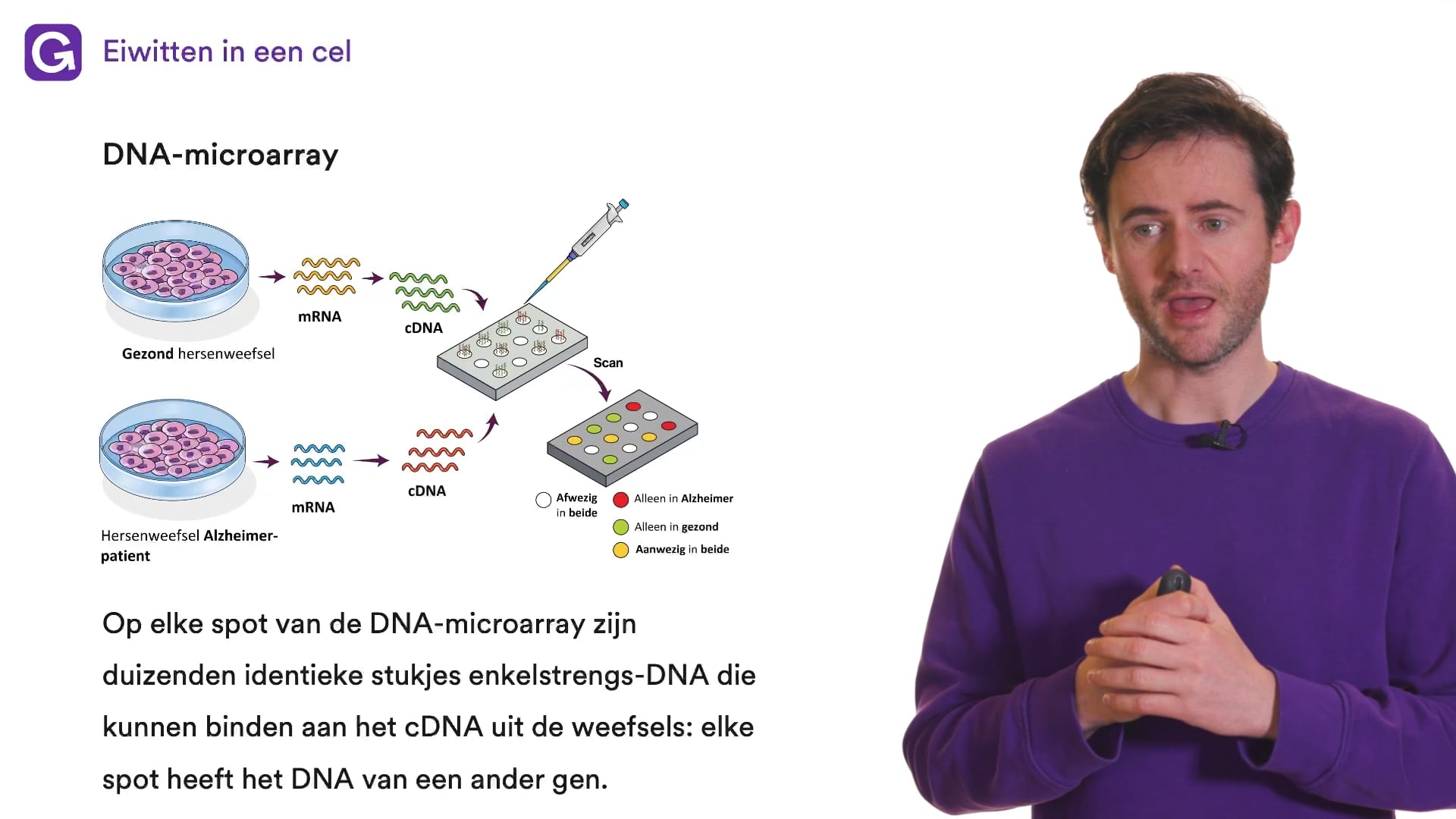 Eiwitten in een cel oefenen | StudyGo, image size:1920x1080