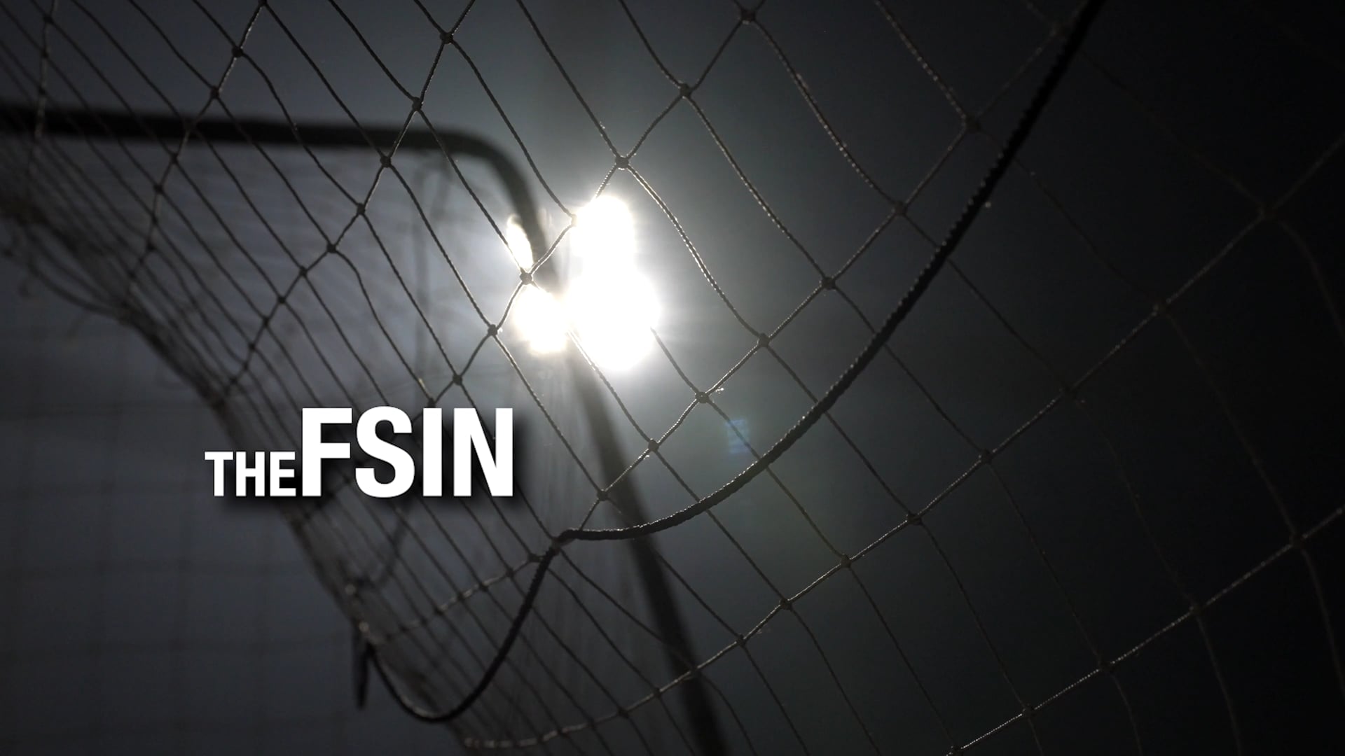 The FSIN (FINAL)