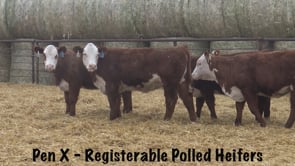 Lot #264 - RV CUDA 1410J / R MISS BONANZA 359