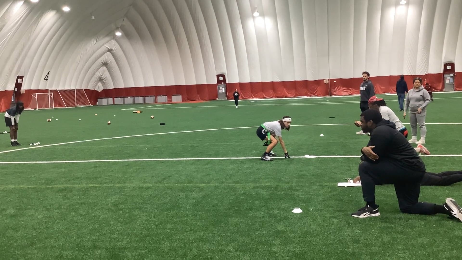 peyton nedanis banner