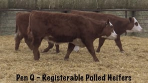 Lot #234 - R HORIZON 4070 / R MISS TRAVELER 1460
