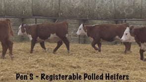 Lot #204 - R HORIZON 4070 / R MISS SPARTAN 510