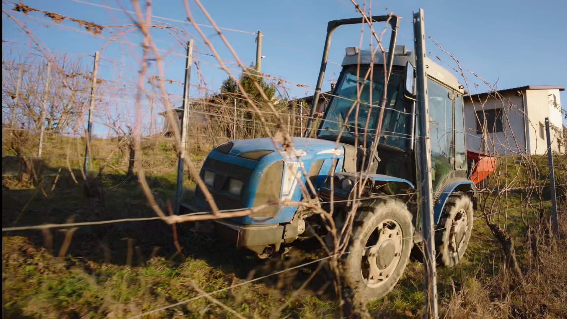 Lavori in vigna |  Concimazione