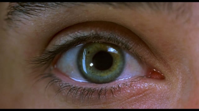 Requiem for a Dream - Darren Aronofsky