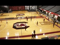 Preview Video #1