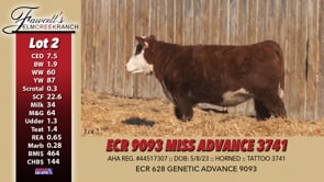 Lot #2 - ECR 9093 MISS ADVANCE 3741