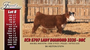 Lot #8 - ECR 5707 LADY DIAMOND 3335