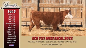 Lot #5 - ECR 721 MISS EXCEL 3072