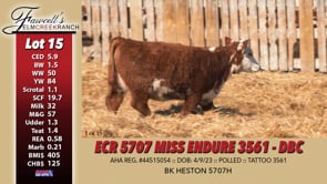 Lot #15 - ECR 5707 MISS ENDURE 3561