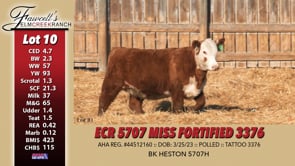 Lot #10 - ECR 5707 MISS FORTIFIED 3376
