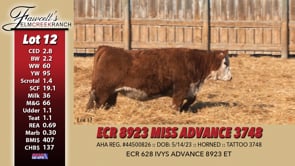 Lot #12 - ECR 8923 MISS ADVANCE 3748