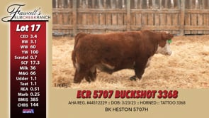 Lot #17 - ECR 5707 BUCKSHOT 3368