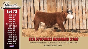 Lot #13 - ECR 5707 MISS DIAMOND 3188