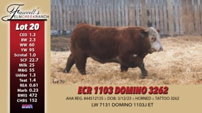 Lot #20 - ECR 1103 DOMINO 3262