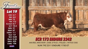 Lot #19 - ECR 173 ENDURE 3342
