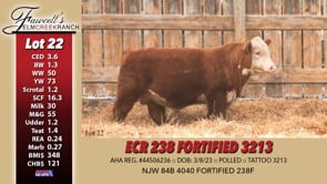Lot #22 - ECR 238 FORTIFIED 3213