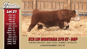 Lot #21 - ECR LW MONTANA 370 ET