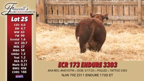 Lot #25 - ECR 173 ENDURE 3303