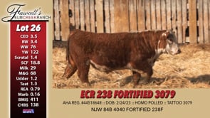 Lot #26 - ECR 238 FORTIFIED 3079