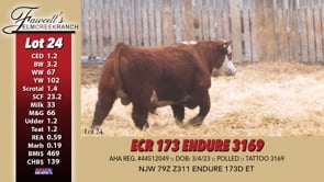 Lot #24 - ECR 173 ENDURE 3169