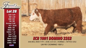 Lot #28 - ECR 1001 DOMINO 3352