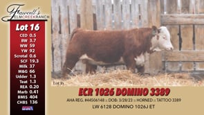 Lot #16 - ECR 1026 DOMINO 3389