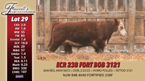 Lot #29 - ECR 238 FORT BOB 3121