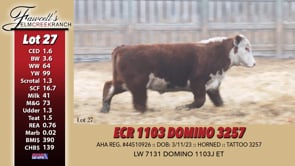 Lot #27 - ECR 1103 DOMINO 3257