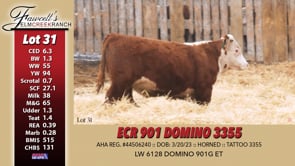 Lot #31 - ECR 901 DOMINO 3355