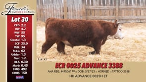 Lot #30 - ECR 0025 ADVANCE 3388